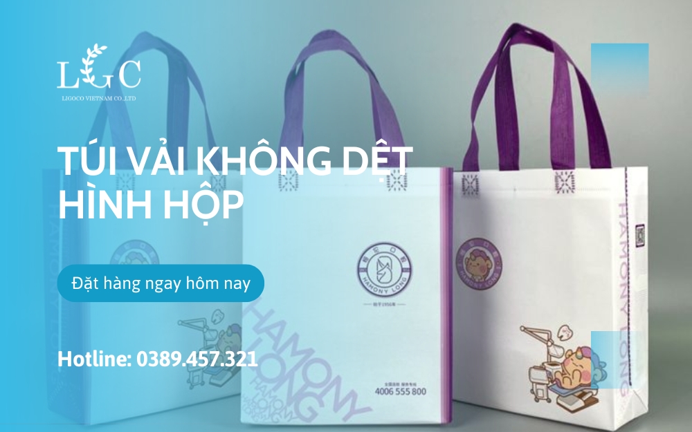 Túi vải không dệt hình hộp