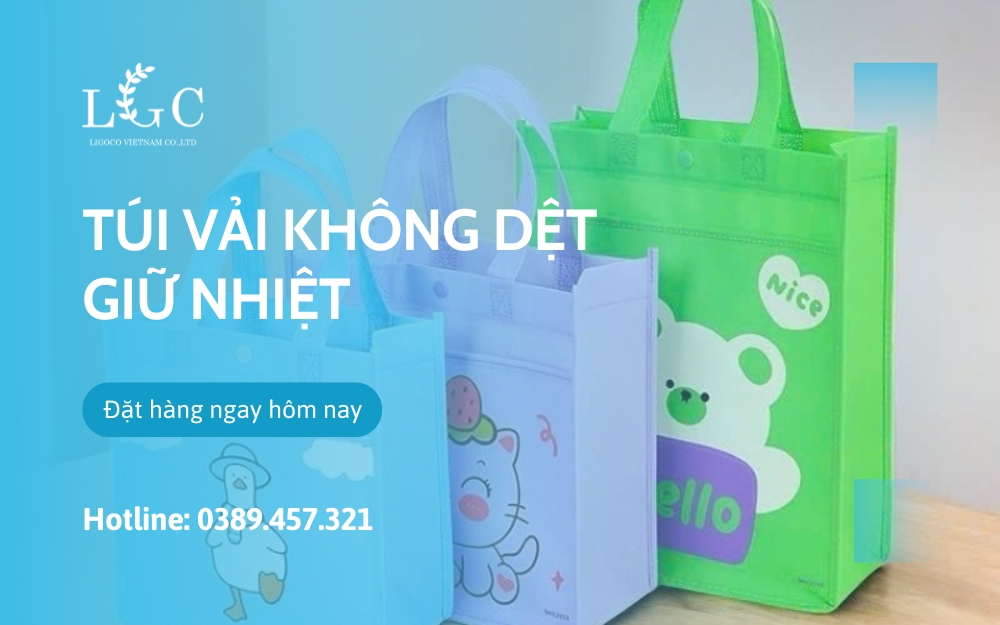 Túi vải không dệt giữ nhiệt