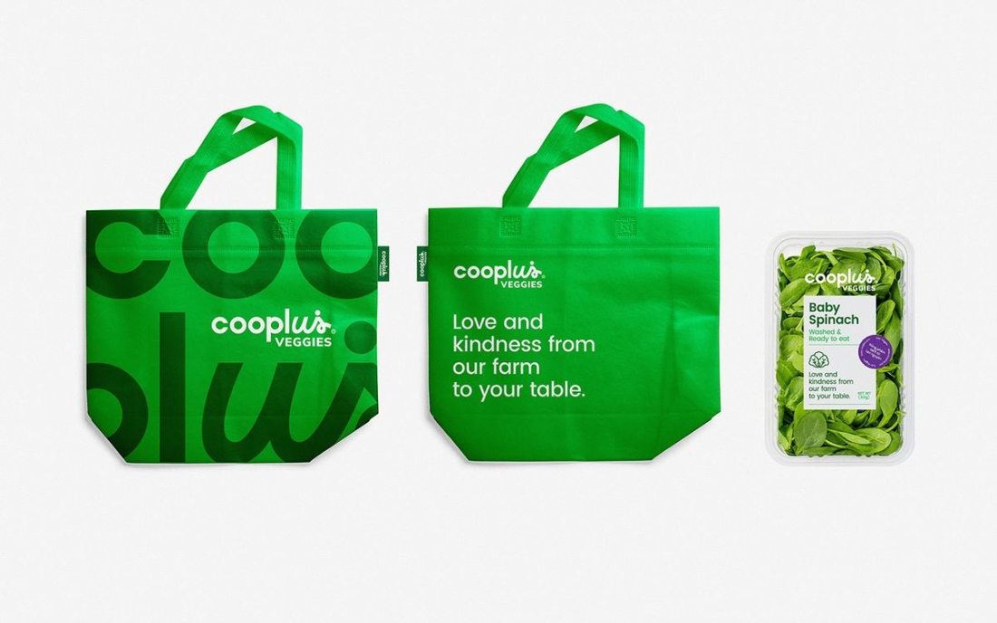 Mẫu túi vải không dệt chặt đáy