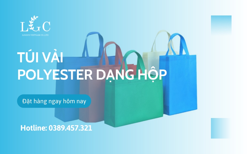 Túi vải polyester dạng hộp